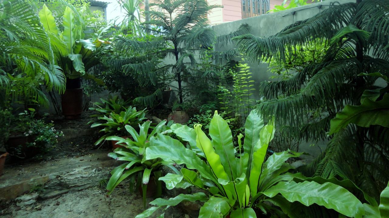 Moradok Thai Guesthouse Phra Nakhon Si Ayutthaya Exterior foto
